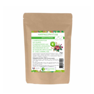 Pourquoi donner de l'harpagophytum à son chien ?