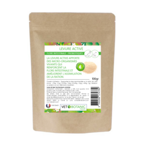 La levure active comme vermifuge naturel pour chiens
