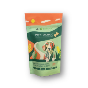 friandises aux plantes pour chien - Vet Botanic
