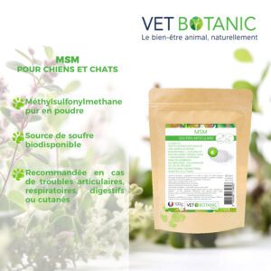 Bienfaits du MSM sur les Articulation du chien et du chat