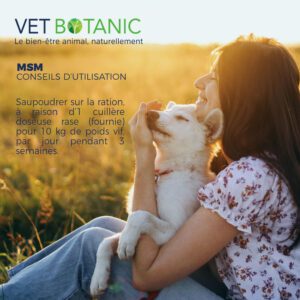 Utilisation du MSM sur les Articulation du chien et du chat