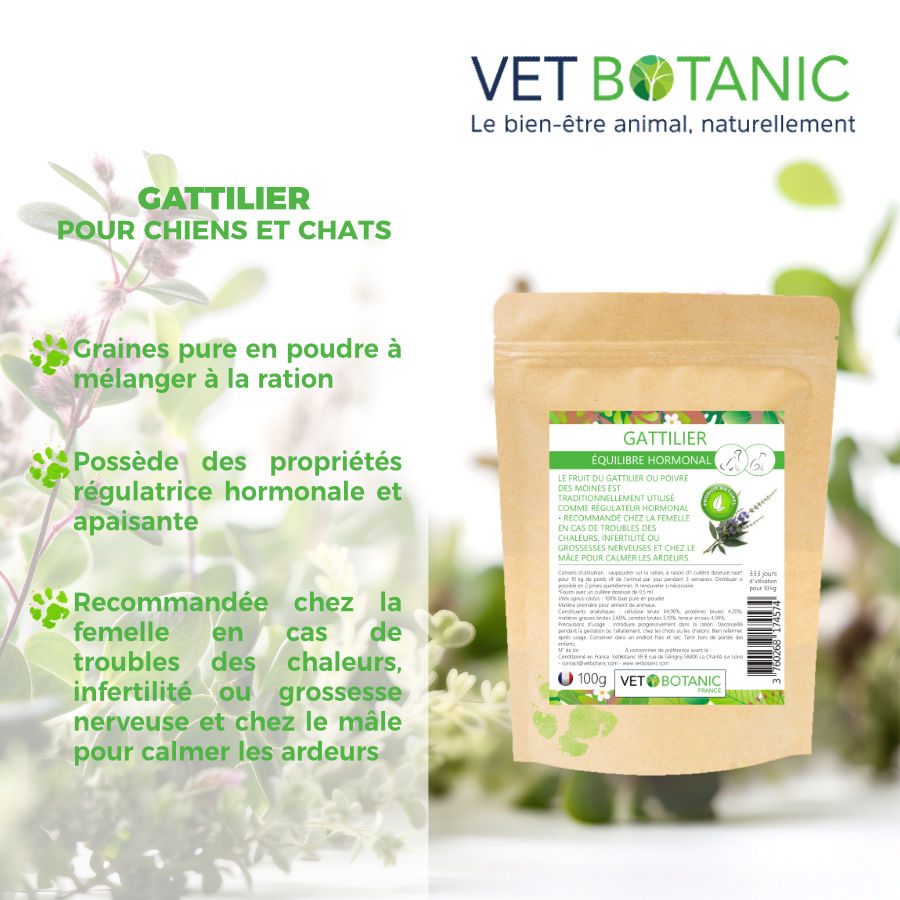 Bienfait graine Gattilier chien chat - Vet Botanic