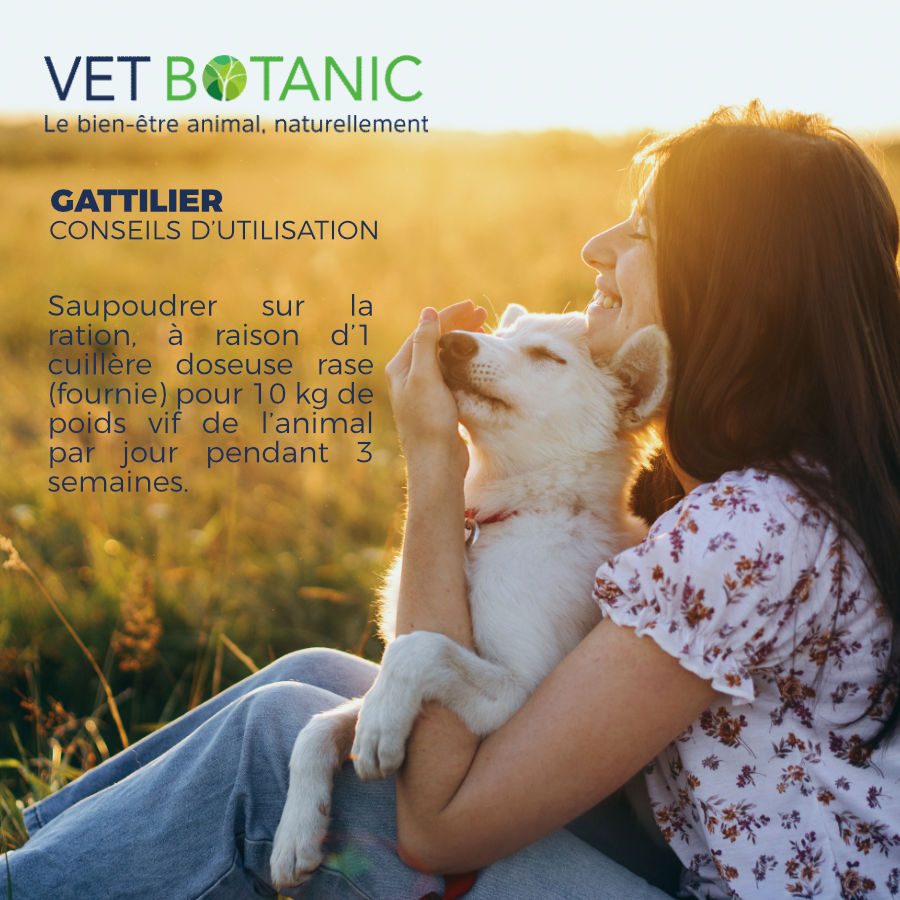 Utilisation chien chat - Vet Botanic
