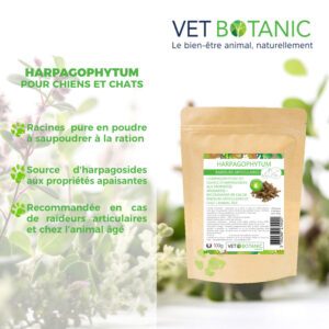 Bienfait HARPAGOPHYTUM chiens et chats- Raideurs articulaires - Vet Botanic