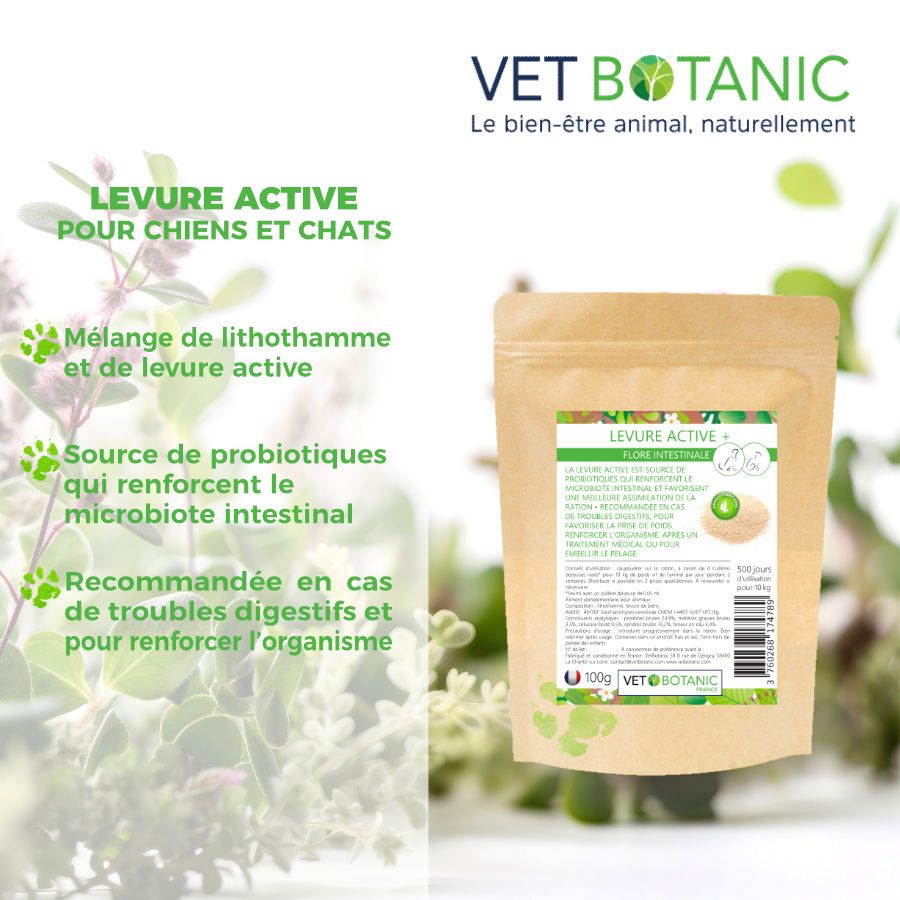 Bienfait Levure active chien chat - Vet Botanic