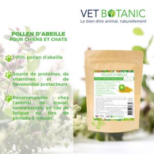 Bienfaits POLLEN D'ABEILLES - Vitalité et défenses immunitaires chiens et chats
