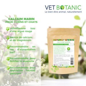 Calcium marin chien et chat carences et reminéralisation