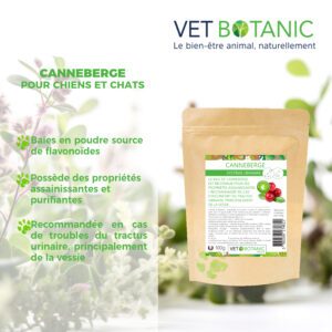 Canneberge chiens et chats- système urinaire