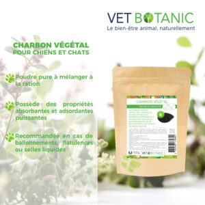 Bienfait charbon végétal chien et chat