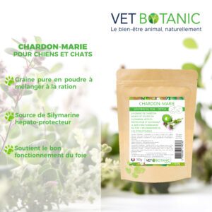 Bienfaits chardon marier chien chat