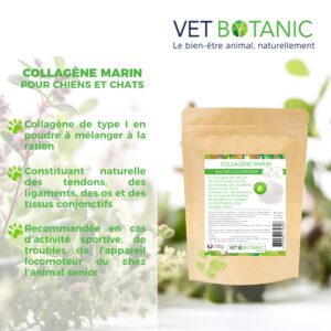 Bienfaits COLLAGENE MARIN - Soutien locomoteur du chien et du chat