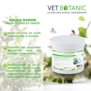 Bienfaits argile marine articulation chien chat- Vet Botanic