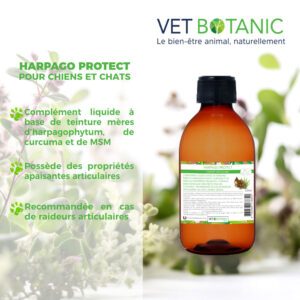 bienfaits harpago protect articulation chien chat