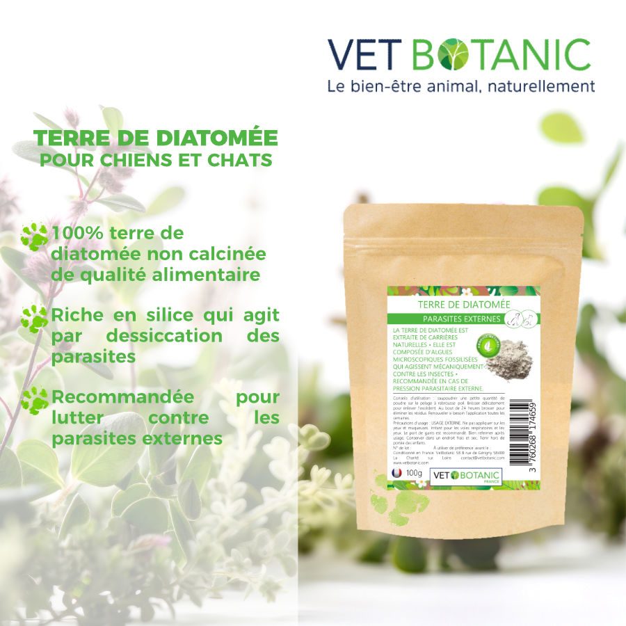 TERRE DE DIATOMÉE - Parasites externes chiens et chats – Image 2