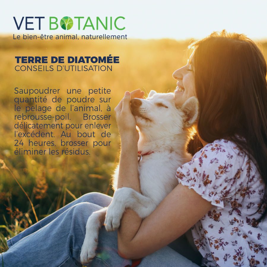 TERRE DE DIATOMÉE - Parasites externes chiens et chats – Image 3