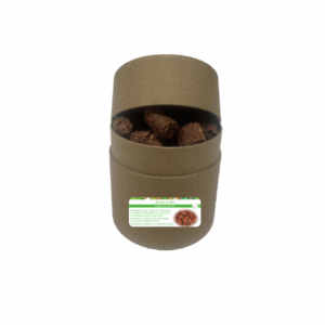 FRIANDISES CHIENS aux insectes