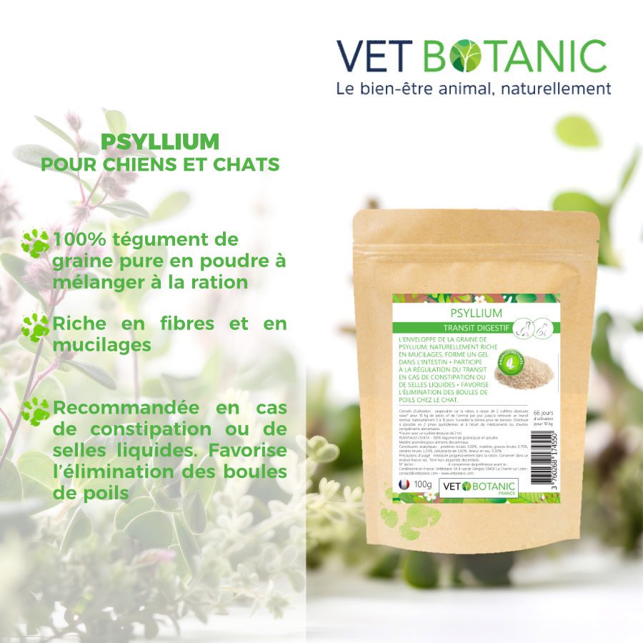 PSYLLIUM tégument pur en poudre - Transit digestif chiens et chats – Image 2