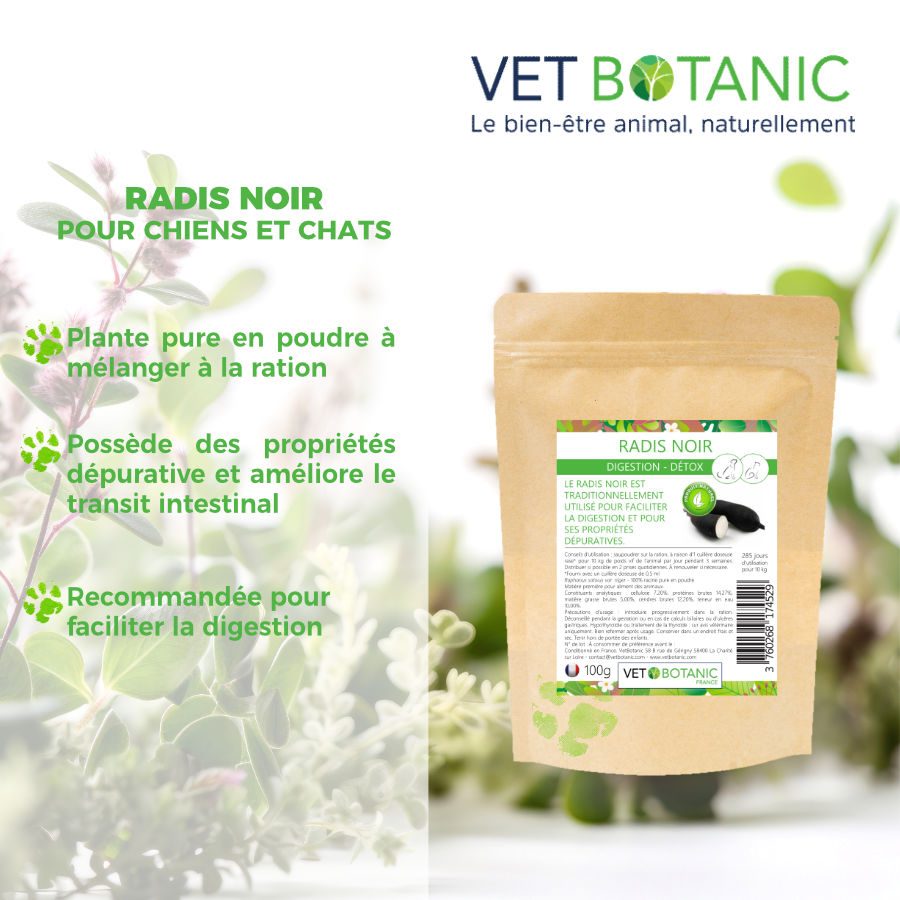 RADIS NOIR Plante pure en poudre - Digestion et détox chiens et chats – Image 2