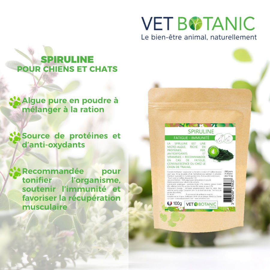 SPIRULINE - Algue pure en poudre - Fortifiant & revitalisant chiens et chats – Image 2