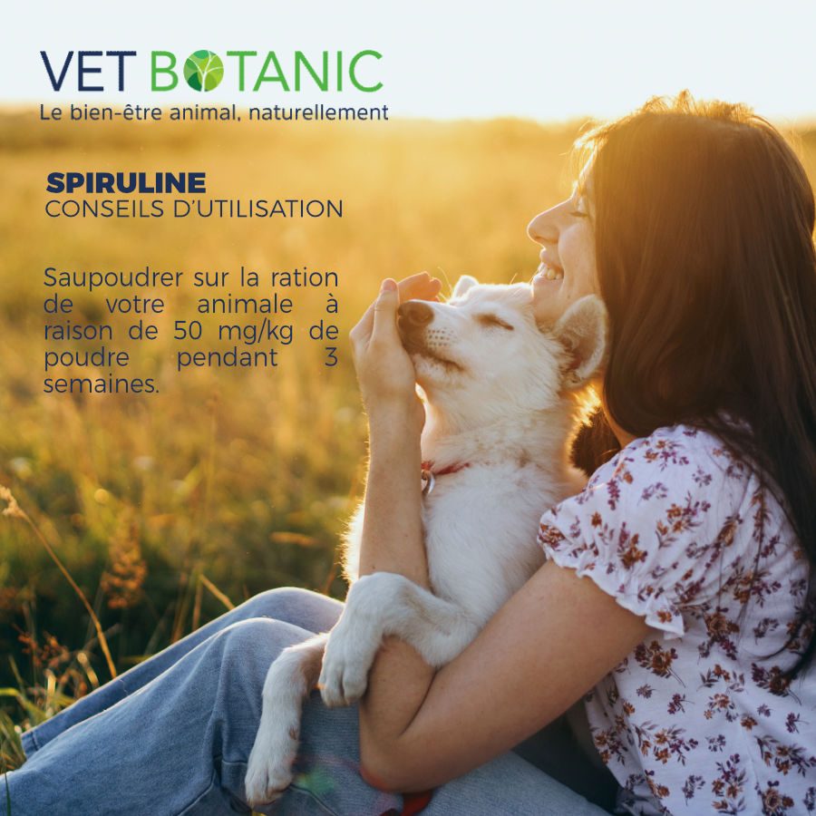 SPIRULINE - Algue pure en poudre - Fortifiant & revitalisant chiens et chats – Image 3