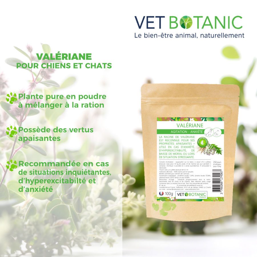 VALERIANE Plante pure en poudre - Agitation et anxiété chiens et chats – Image 2