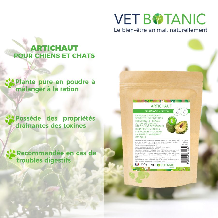 ARTICHAUT Plante pure en poudre - Drainage detox chiens et chats – Image 2