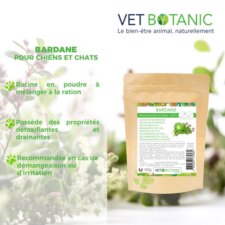 BARDANE Racine en poudre - Démangeaisons et détox chiens et chats – Image 2